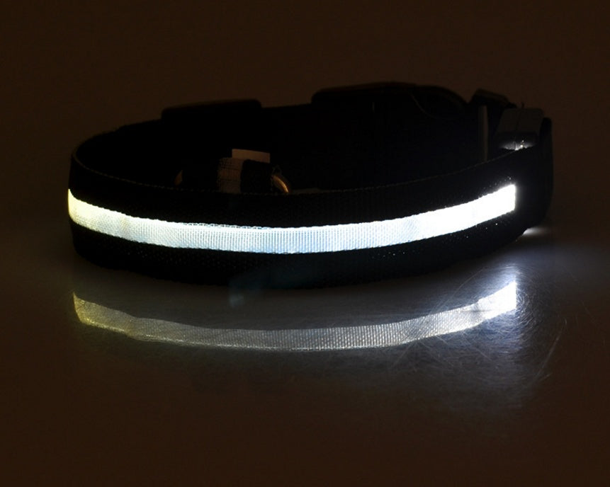 Ultra-Bright LED Collar