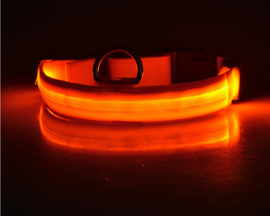 Ultra-Bright LED Collar