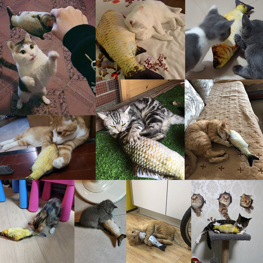 Floppy Fish Interactive Toy