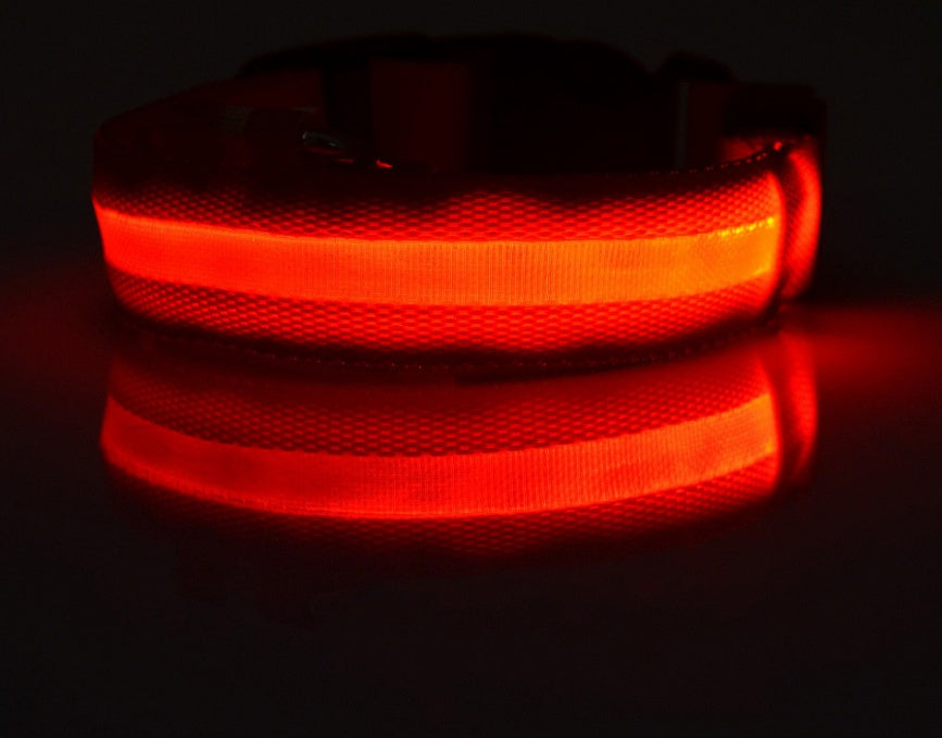 Ultra-Bright LED Collar