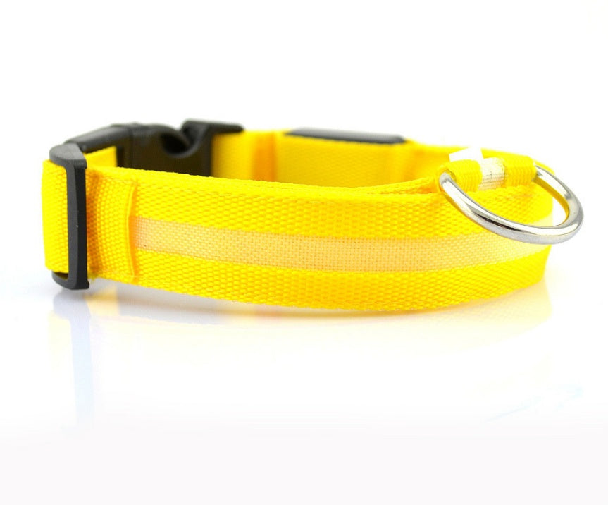 Ultra-Bright LED Collar