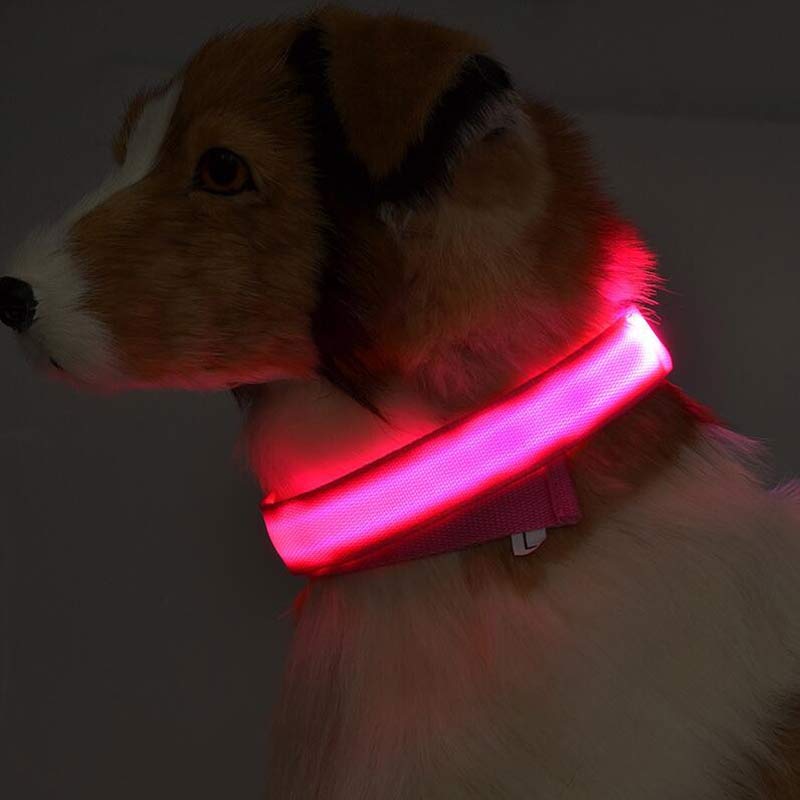 Ultra-Bright LED Collar