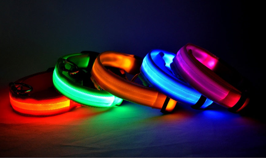 Collier LED ultra-lumineux