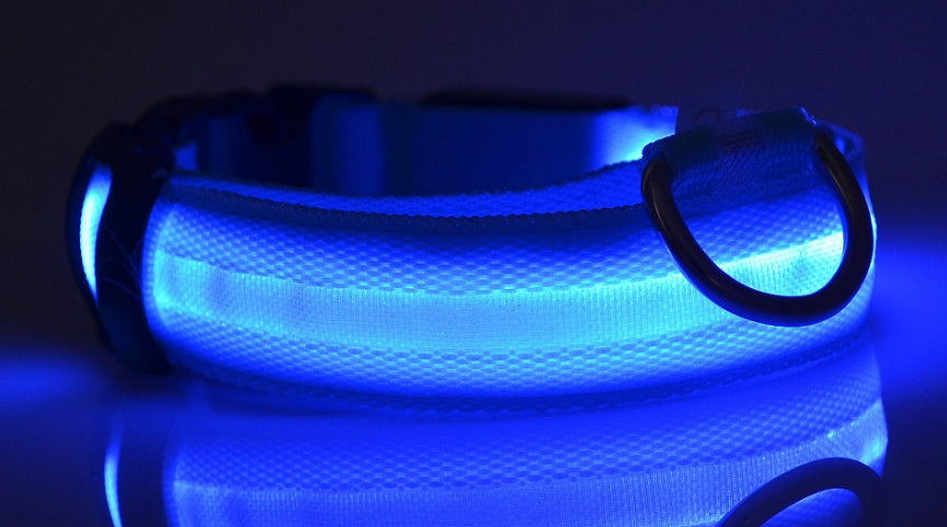 Ultra-Bright LED Collar